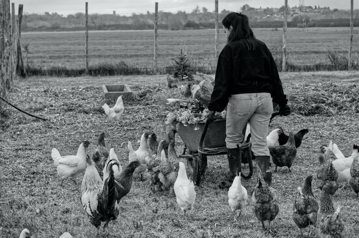 Agricoltrici, foto 14