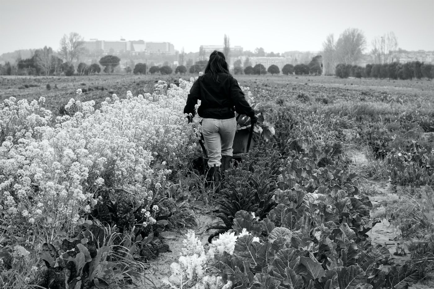 Agricoltrici
