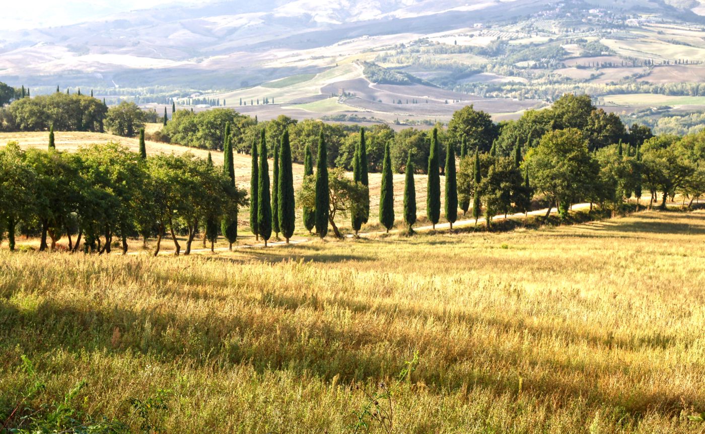 Val D'Orcia - Toscany