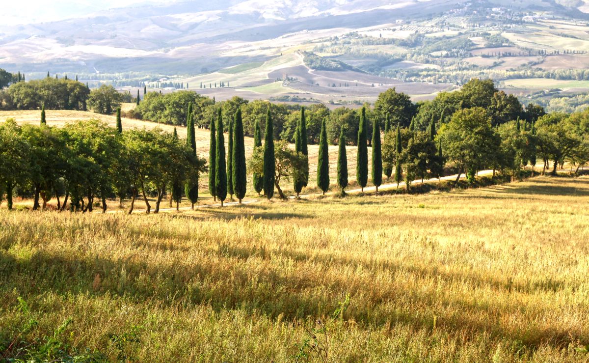 Val D'Orcia - Toscany, foto 1